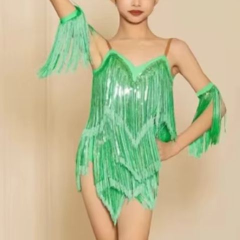 New Latin Performance Dance Dr - Outdoor Sport Dress ulasan dan harga