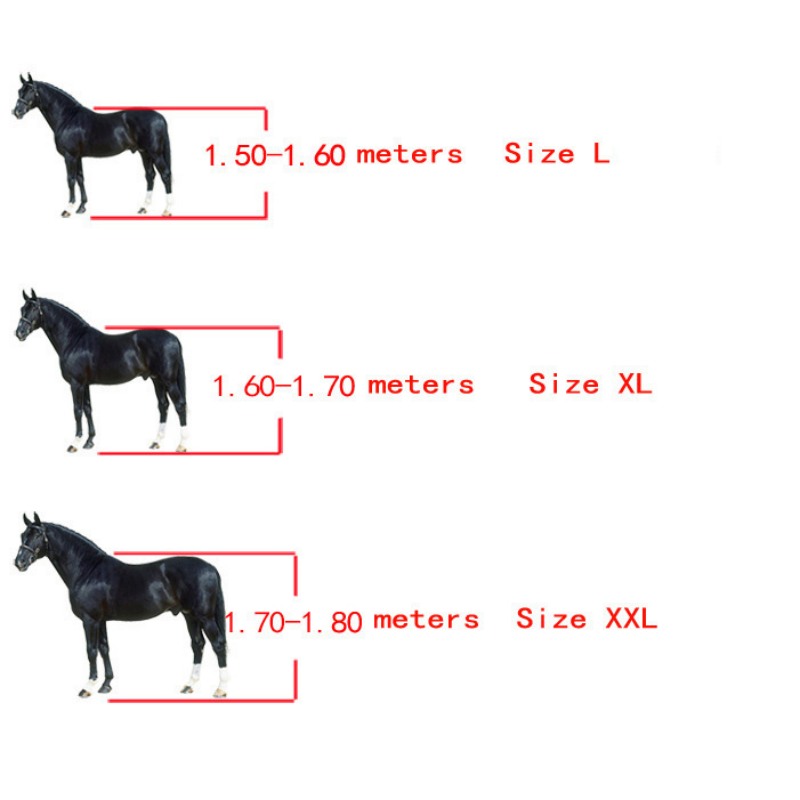 Horse Boots Open Front Jumping - Lunge Line Horse ulasan dan harga